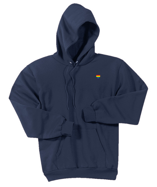 Dale Scott Embroidered Logo Hoodie